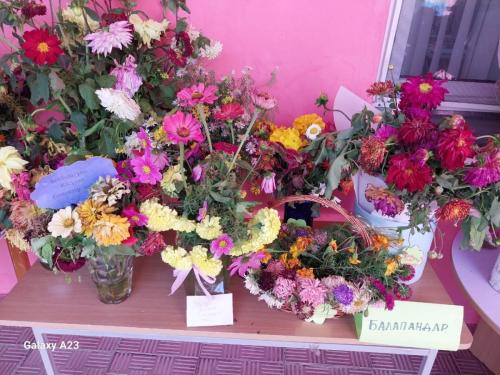 10ca1d80-9d5b-4ab9-a86f-77bfbcaec14d