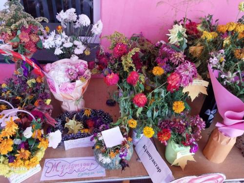 16b31205-15e5-4255-846d-f27f5e70112f