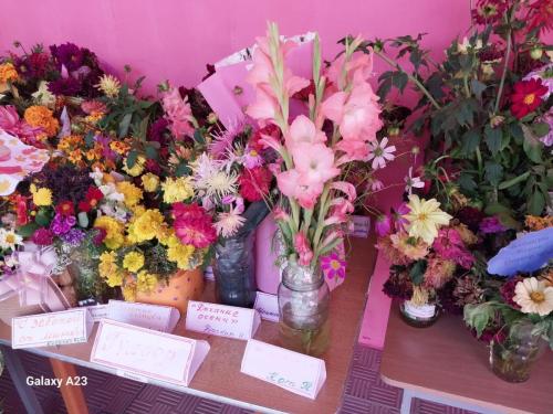 743127a4-7053-49e3-ace0-a24f25be1772