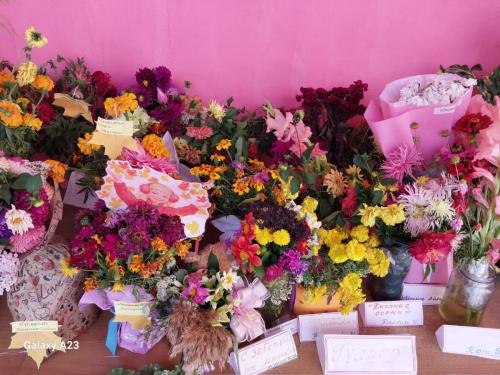 90a1bc8b-277d-486d-976b-3c4f9415bef9