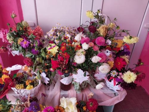 e6144d7e-fccf-4e76-b4c5-d5febb5558c0