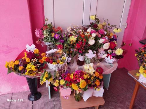 f1fa3f68-5494-4639-8528-df46211c78d6