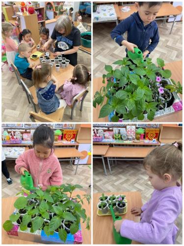 табиғат-бұрышында-жұмыс